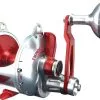 Accurate BV2-800 Boss Valiant Conventional Reels -Saltwater Rods & Poles Sales accurate bv2 800 boss valiant conventional reels 35247.1651148379