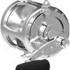 Avet Reels Avet EXW 80/2 Two-Speed Lever Drag Big Game Reel Silver -Saltwater Rods & Poles Sales avet exw 80 2 two speed lever drag big game reels ave 0097 2 18280.1650775654.386.513