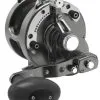 Avet Reels Avet HXJ 3-Speed Raptor MC Lever Casting Reel - Gunmetal -Saltwater Rods & Poles Sales avet hxj three speed mc raptor lever drag casting reel gunmetal 16790.1651262992.386.513