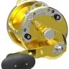 Avet Reels Avet HXW 4.2 Single Speed Lever Drag Casting Reels Gold -Saltwater Rods & Poles Sales avet hxw 42 single speed lever drag casting reels ave 0219 1 35878.1650775753