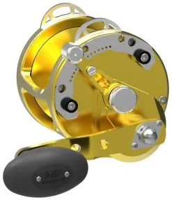 Avet Reels Avet HXW 4.2 Single Speed Lever Drag Casting Reels Gold