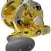 Avet Reels Avet HXW 5/2 Two-Speed Lever Drag Casting Reels Gold 2 Avet Reels Avet HXW 5/2 Two-Speed Lever Drag Casting Reels Gold -Saltwater Rods & Poles Sales avet hxw 52 two speed lever drag casting reels ave 0096 1 76868.1650775772.386.513