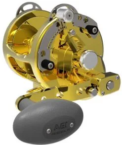 Avet Reels Avet HXW 5/2 Two-Speed Lever Drag Casting Reels Gold