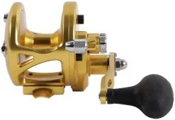 Avet Reels Avet JX 6.0 G2 MC 1 Speed Reel - Gold (No Glide Plate) -Saltwater Rods & Poles Sales avet jx 6 0 g2 mc rh gd ngp reel 59606.1670274054