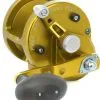 Avet Reels Avet JX 6.0 MC Single Speed Lever Drag Casting Reels Gold -Saltwater Rods & Poles Sales avet jx 60 mc single speed lever drag casting reels ave 0111 1 12360.1650775806.386.513