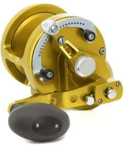 Avet Reels Avet JX 6/3 MC Raptor 2-Speed Lever Drag Casting Reels Gold
