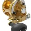 Avet Reels Avet JX G2 6.0 MC Single Speed Reel Gold -Saltwater Rods & Poles Sales avet jx g2 6 0 mc single speed reel ave 0537 1 42228.1670274023.386.513