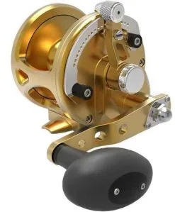 Avet Reels Avet JX G2 6.0 MC Single Speed Reel Gold