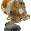 Avet Reels Avet JX G2 6/3 2-Speed Reel Gold -Saltwater Rods & Poles Sales avet jx g2 6 3 2 speed reel ave 0538 1 30956.1670274327.386.513