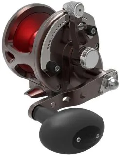 Avet Reels Avet JX G2 Lever Drag Casting Reels -Saltwater Rods & Poles Sales avet jx g2 lever drag casting reels 25224.1670274617
