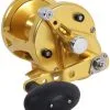 Avet Reels Avet LX 6.0 G2 1 Speed Reel - Gold (No Glide Plate) -Saltwater Rods & Poles Sales avet lx 6 0 g2 rh gd ngp reel 41884.1651417660