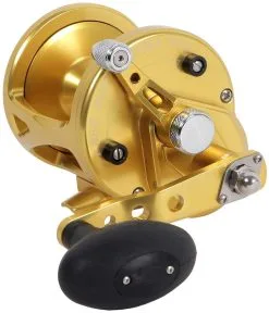 Avet Reels Avet LX 6.0 G2 1 Speed Reel - Gold (No Glide Plate)