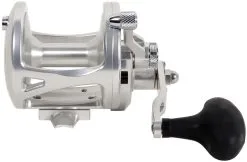 Avet Reels Avet LX 6.0 G2 1 Speed Reel - Silver (No Glide Plate) -Saltwater Rods & Poles Sales avet lx 6 0 g2 rh si ngp reel 21529.1651417663