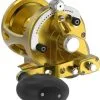 Avet Reels Avet LX G2 6/3 2-Speed Reel Gold -Saltwater Rods & Poles Sales avet lx g2 6 3 2 speed reel ave 0544 1 96463.1650776011.386.513