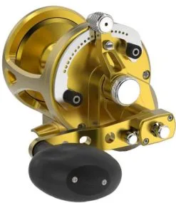 Avet Reels Avet LX G2 6/3 2-Speed Reel Gold