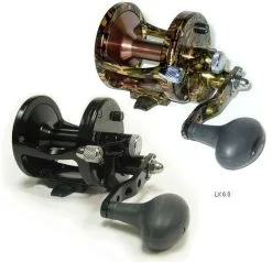 Avet Reels Avet LX Single Speed Lever Drag Casting Reels -Saltwater Rods & Poles Sales avet lx single speed lever drag casting reels 74027.1650776030