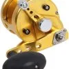 Avet Reels Avet MXJ 5.8 G2 MC 1 Speed Reel - Gold (No Glide Plate) -Saltwater Rods & Poles Sales avet mxj 5 8 g2 mc rh gd ngp reel 83132.1651417668.386.513