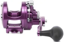 Avet Reels Avet MXJ 6/4 MC Raptor 2-Speed Lever Drag Casting Reel - Purple -Saltwater Rods & Poles Sales avet mxj 64 raptor 2 speed lever drag casting reels ave 0258 8 89975.1650991842