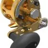Avet Reels Avet MXJ G2 5.8 MC Single Speed Reel Gold 1 Avet Reels Avet MXJ G2 5.8 MC Single Speed Reel Gold -Saltwater Rods & Poles Sales avet mxj g2 5 8 mc single speed reel ave 0527 1 00994.1650991851.386.513