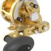 Avet Reels Avet MXJ G2 6/4 MC 2-Speed Reel Gold 2 Avet Reels Avet MXJ G2 6/4 MC 2-Speed Reel Gold -Saltwater Rods & Poles Sales avet mxj g2 6 4 mc 2 speed reel ave 0529 1 10901.1650991874.386.513