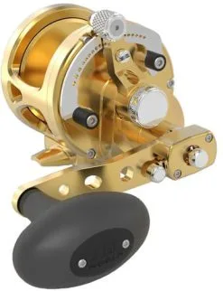 Avet Reels Avet MXJ G2 6/4 MC 2-Speed Reel Gold