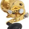 Avet Reels Avet MXL 5.8 G2 1 Speed Reel - Gold (No Glide Plate) 1 Avet Reels Avet MXL 5.8 G2 1 Speed Reel - Gold (No Glide Plate) -Saltwater Rods & Poles Sales avet mxl 5 8 g2 rh gd ngp reel 42852.1651417679