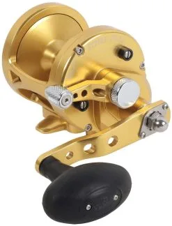 Avet Reels Avet MXL 5.8 G2 1 Speed Reel - Gold (No Glide Plate)