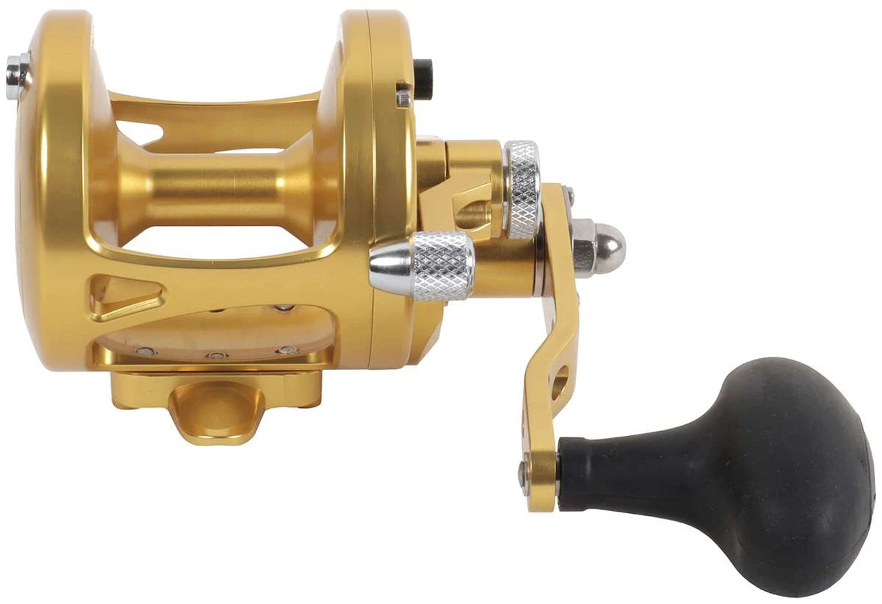 Avet Reels Avet MXL 5.8 G2 1 Speed Reel - Gold (No Glide Plate) 4 Avet Reels Avet MXL 5.8 G2 1 Speed Reel - Gold (No Glide Plate) - Image 2