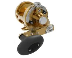 Avet Reels Avet MXL G2 5.8 Single Speed Reel Gold