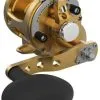 Avet Reels Avet SX G2 5.3 Single Speed Reel Gold -Saltwater Rods & Poles Sales avet sx g2 5 3 single speed reel ave 0522 1 58335.1670339716.386.513