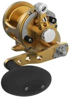 Avet Reels Avet SX G2 5.3 Single Speed Reel Gold