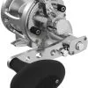 Avet Reels Avet SX G2 6/4 2-Speed Reel Silver -Saltwater Rods & Poles Sales avet sx g2 6 4 2 speed reel ave 0524 2 89362.1670338219.386.513