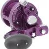 Avet Reels Avet SXJ 6/4 2-Speed Lever Drag Casting Reel - Purple -Saltwater Rods & Poles Sales avet sxj 64 2 speed lever drag casting reel purple 03858.1650992200