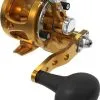 Avet Reels Avet SXJ G2 5.3 Single Speed Reel Gold -Saltwater Rods & Poles Sales avet sxj g2 5 3 single speed reel ave 0518 1 13647.1670343022.386.513