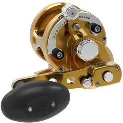 Avet Reels Avet SXJ G2 6/4 MC 2-Speed Reel Gold