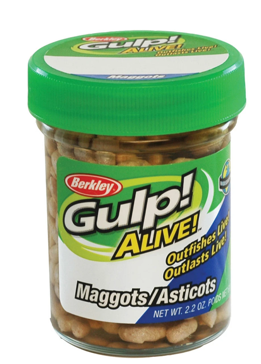 Berkley Glive Alive! Maggots - White 4 Berkley Glive Alive! Maggots - White - Image 2