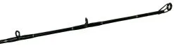 Blackfin Saltwater Casting Fishing Rods -Saltwater Rods & Poles Sales blackfin saltwater casting fishing rods 05182.1651075240
