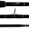 Blackfin Saltwater Casting Fishing Rods 2 Blackfin Saltwater Casting Fishing Rods -Saltwater Rods & Poles Sales blackfin saltwater casting fishing rods 21903.1651075239