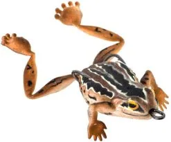 Chasebaits Bobbin Frog