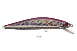 Daddy Mac Lures Daddy Mac DM Minnow Lures 9 Daddy Mac Lures Daddy Mac DM Minnow Lures -Saltwater Rods & Poles Sales daddy mac dm minnow lures 59163.1651168747