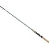 Daiwa Aird Coastal Inshore Spinning Rods -Saltwater Rods & Poles Sales daiwa aird coastal inshore rods 12731.1651169748.386.513