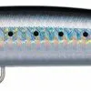Daiwa Salt Pro Minnow Bullet -Saltwater Rods & Poles Sales daiwa salt pro minnow bullet 32084.1651257307