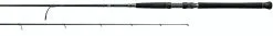 Daiwa Saltist Inshore Spinning Rods -Saltwater Rods & Poles Sales daiwa saltist inshore spinning rods 27551.1650807936