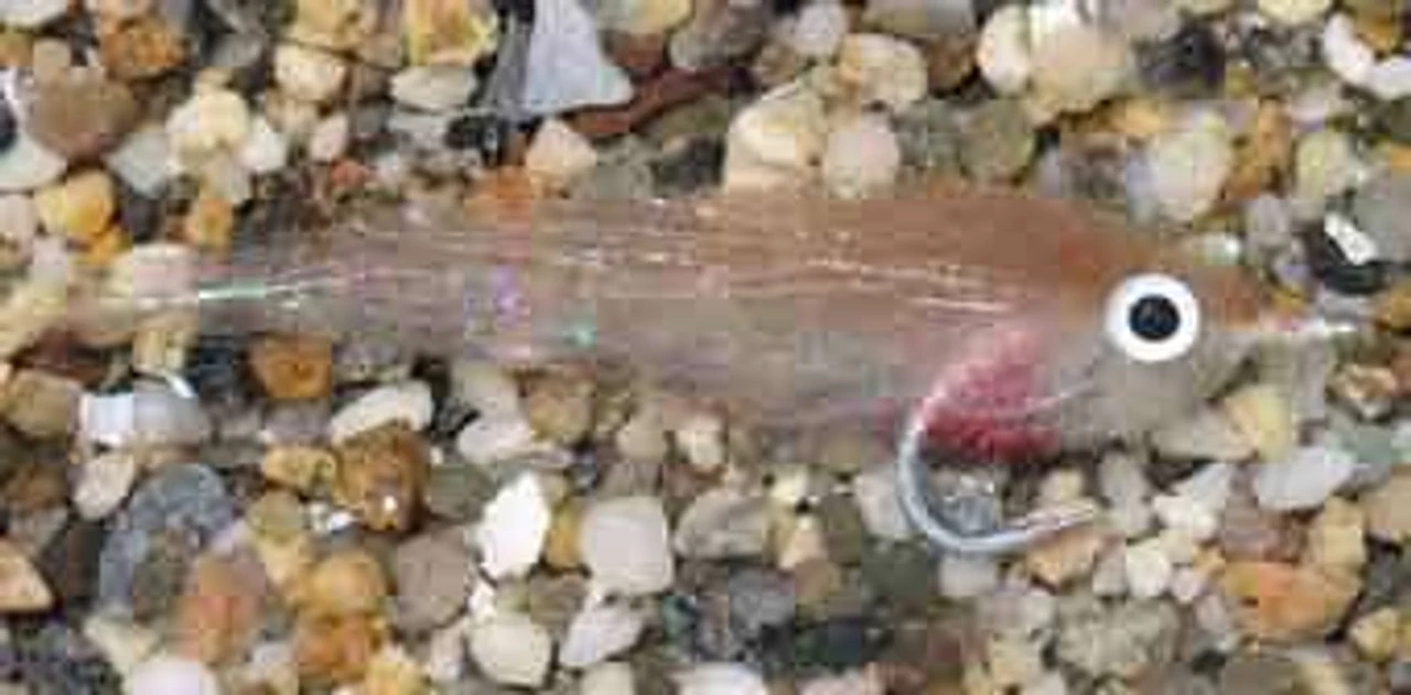 Enrico Puglisi Mullet Saltwater Fly 3 Enrico Puglisi Mullet Saltwater Fly