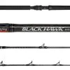 Jigging World Black Hawk Casting Rods -Saltwater Rods & Poles Sales jigging world black hawk casting rods 56849.1651245810