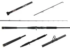 Jigging World Onyx Inshore Rods -Saltwater Rods & Poles Sales jigging world onyx inshore rods 45825.1680784554