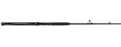Jigging World Raptor Rods -Saltwater Rods & Poles Sales jigging world raptor rods 55044.1680784559