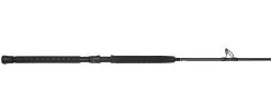 Jigging World Raptor Rods -Saltwater Rods & Poles Sales jigging world raptor rods 59486.1680784559