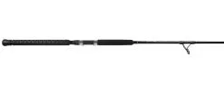Jigging World Raptor Rods -Saltwater Rods & Poles Sales jigging world raptor rods 75871.1680784561
