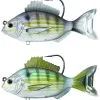LIVETARGET Pinfish Swimbait Lures -Saltwater Rods & Poles Sales livetarget pinfish swimbait lures 70369.1651151141.386.513